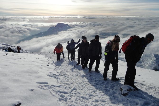 7-Day Kilimanjaro Climb–Lemosho R. Scenic Adventure to the summit - Day 4: Great Barranco Wall to Karanga Camp, a short day with a big view