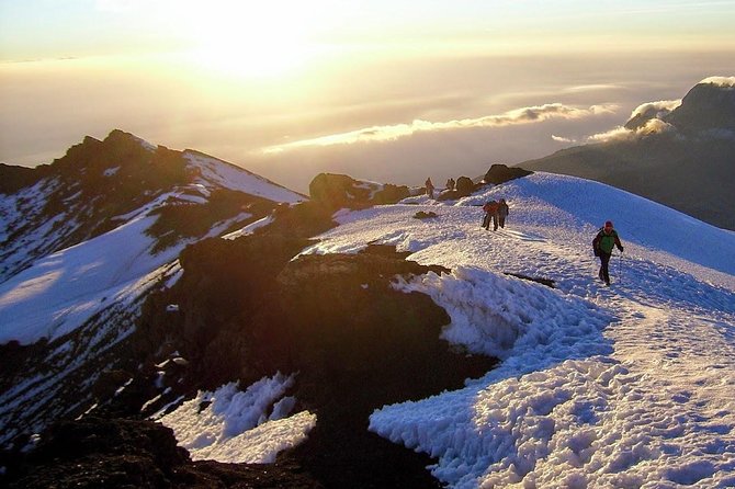 7-Day Kilimanjaro Climb–Lemosho R. Scenic Adventure to the summit - Day 2: Shira Camp Two at 3,840m, heather moorland, and the cold reality check