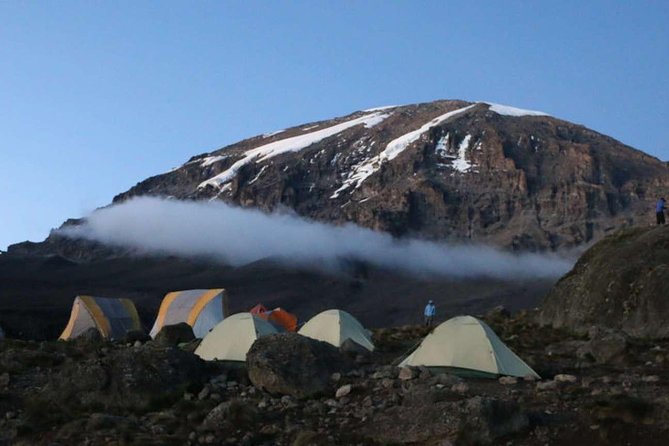 7-Day Kilimanjaro Climb Machame Route–The Best Path to Uhuru Peak - Day 1: Machame Gate to Machame Camp through rainforest