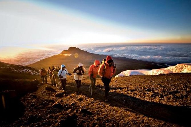 7-Day Kilimanjaro Climb Machame Route–The Best Path to Uhuru Peak - Day 4: Karanga Camp and the Barranco Wall scramble