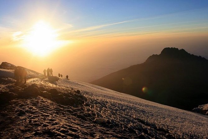 7-Day Kilimanjaro Climb Machame Route–The Best Path to Uhuru Peak - Moshi base time: transfers, guides, and camp setup