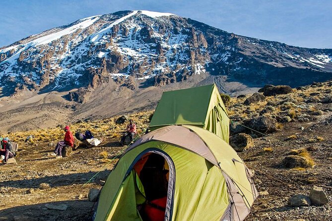 7 Day Kilimanjaro Climbing Via Lemosho Route - Barafu Camp and the Summit Night to Stella Point