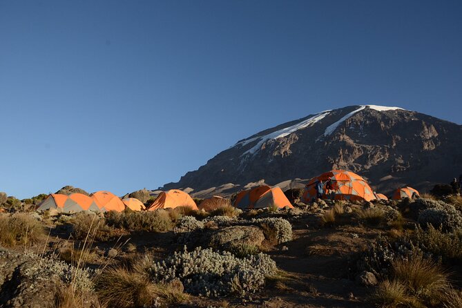 7-Day Kilimanjaro Hiking Tour via Machame Route - Key points before you commit