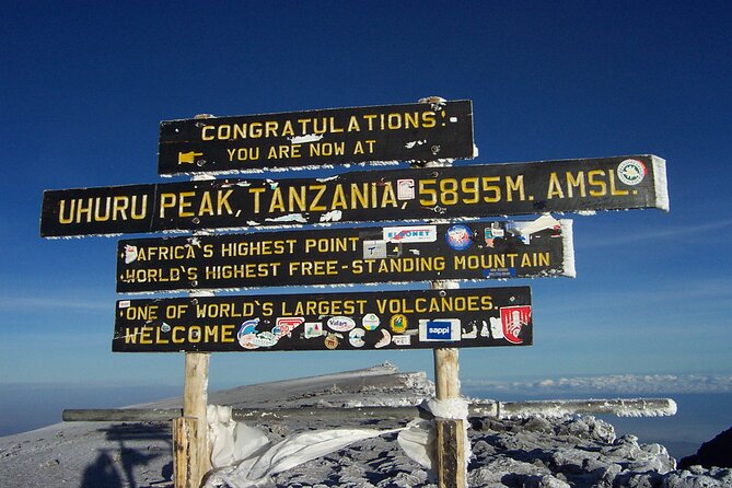 7-Day Kilimanjaro Hiking Tour via Machame Route - Team and safety on Kilimanjaro: what matters day and night