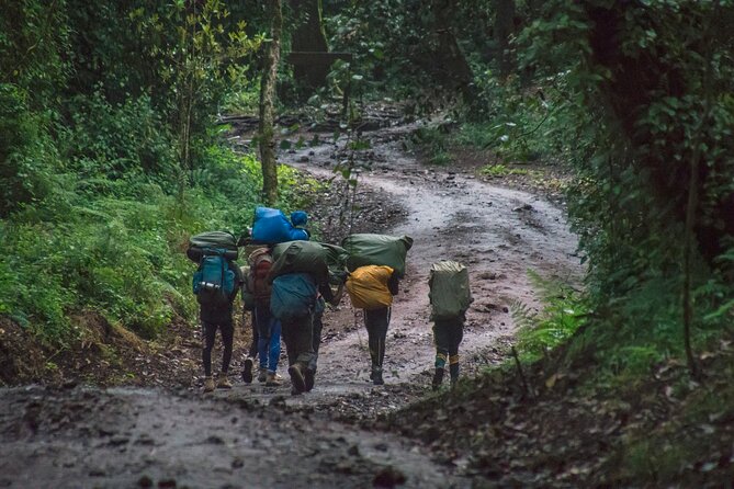 7 Day Kilimanjaro Machame climb - Day 5 and Day 6: Summit Camp Calm Before the Midnight Climb