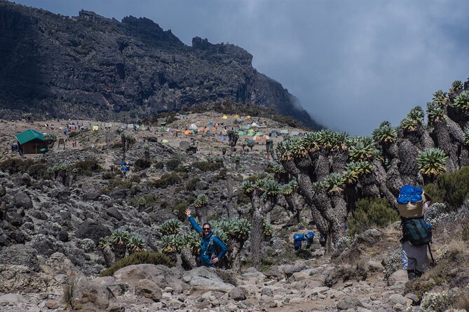 7 Day Kilimanjaro Machame climb - Day 7: The Southern Rain Forest Exit, and the Feeling of Finishing