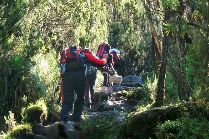 7 Day Kilimanjaro Machame climb - The Crew, Camp Setup, and Health Checks That Reduce Stress