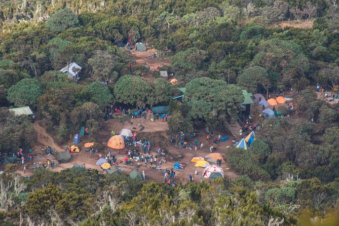 7 Day Kilimanjaro Machame climb - Who This Machame Climb Fits Best (and Who Should Rethink It)
