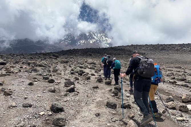 7-Day Kilimanjaro Trekking Tour via Machame Route - Day 2 to Machame Camp: rainforest walking and your first real climb