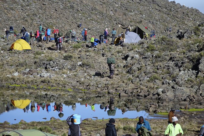 7-Day Kilimanjaro Trekking Tour via Machame Route - Day 4 from Shira Plateau to Lava Tower and Barranco Camp: acclimatize while the mountain tests you