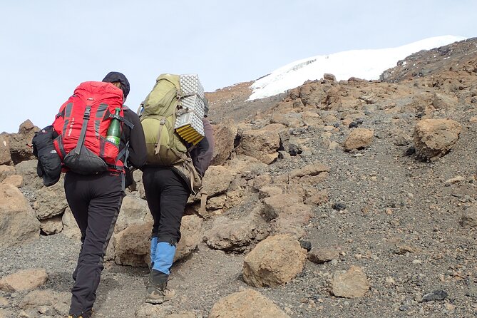 7-Day Kilimanjaro Trekking Tour via Machame Route - Day 6 summit push to Uhuru Peak 5,895m: tea, headlight, Stella Point, then victory