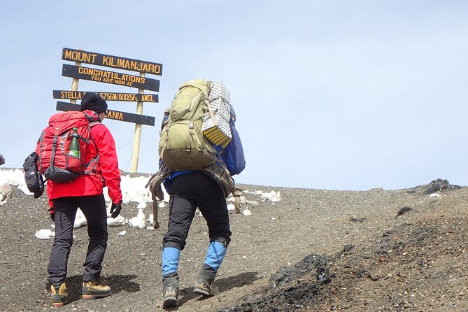 7-Day Kilimanjaro Trekking Tour via Machame Route - Day 7 Mweka Gate exit, rainforest walk, and a certificate to take home