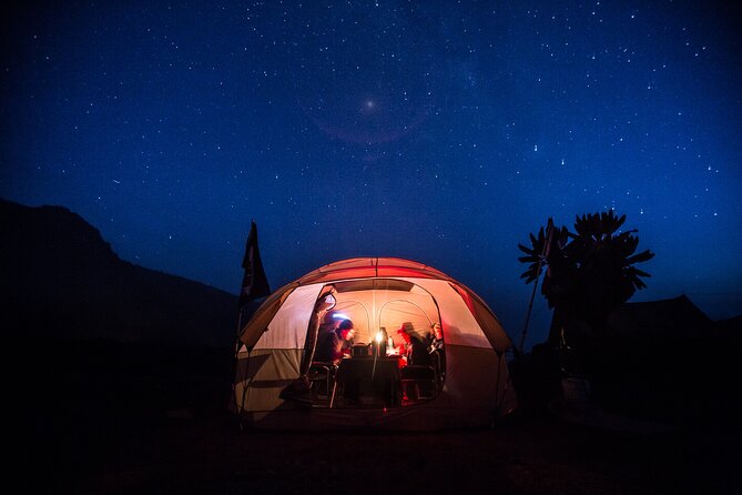7-Day Machame Kilimanjaro Summit Tour from Arusha - Day-by-Day Machame Itinerary: rainforest to crater rim, one day at a time