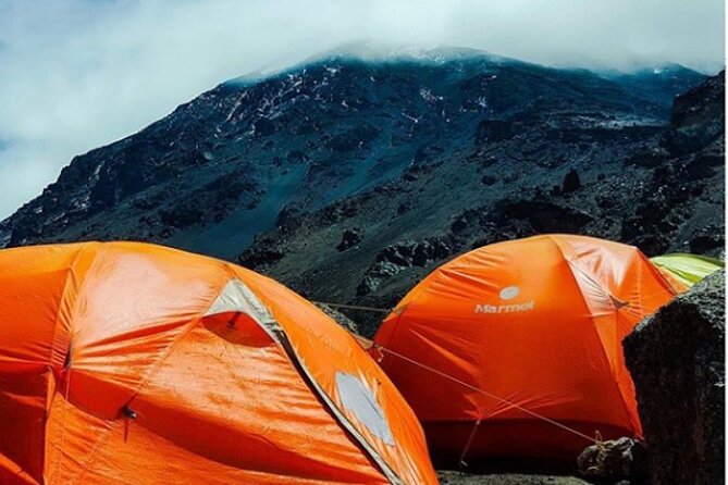 7-Day Machame Route Kilimajaro - Moshi Pickup and Your Trek Team: Less Stress, More Steps