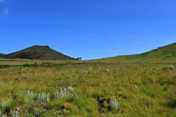 7-Day Machame Route Kilimajaro - Day 2: Shira Plateau, Kibo Views, and Cold Camps