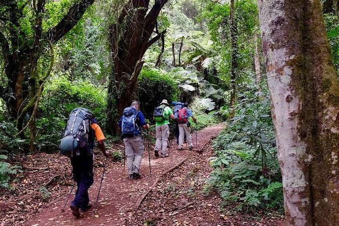 7-Day Machame Route Kilimajaro - Day 5: Barafu Camp, Summit Prep, and Wind Management