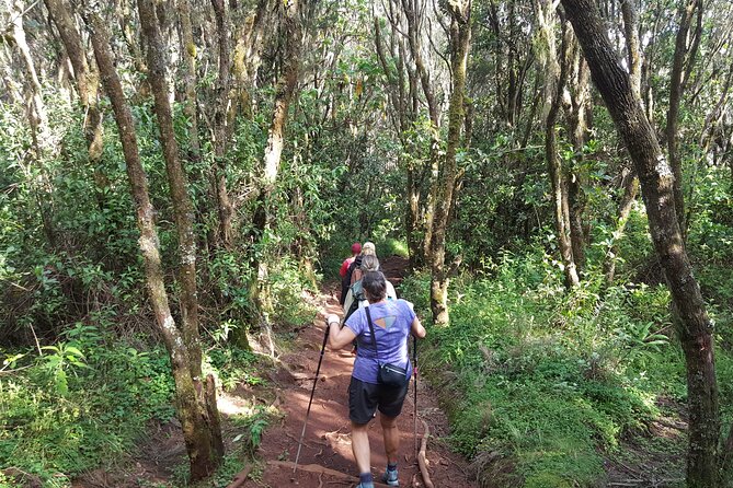 7-Day Mountain Climbing in Machame Route - Barafu Camp and Summit Night Prep (South Circuit Views From Camp)