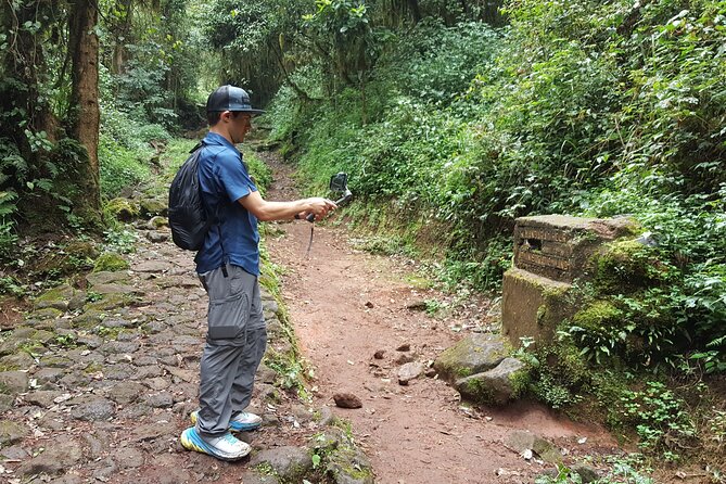 7-Day Mountain Climbing in Machame Route - Stella Point to the Summit Sunrise (and the Long Descent Plan)