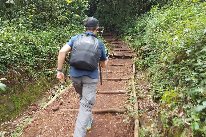 7-Day Mountain Climbing in Machame Route - Price and Logistics: Is $2,700 Good Value for the Machame Route?