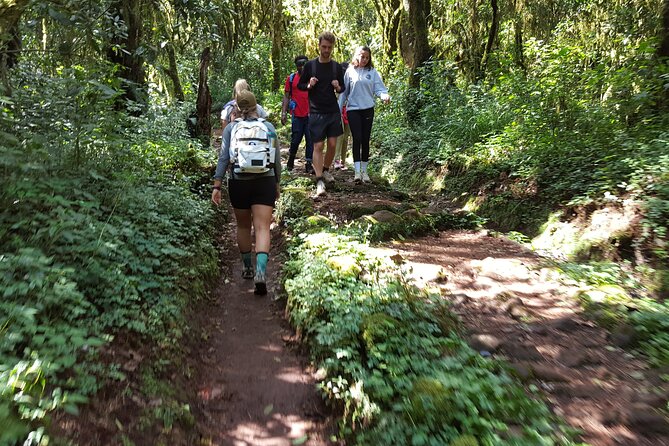 7-Day Mountain Climbing in Machame Route - Barranco Wall to Karanga Valley (Rock Moves, Big Scenery Energy)
