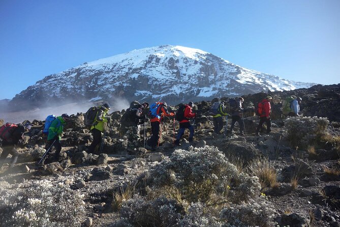 7-Day Mt. Kilimanjaro Hiking: Machame Route - Day 3 toward Lava Tower and Barranco: the toughest day, followed by an important acclimatization drop