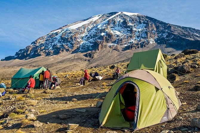 7-Day Mt. Kilimanjaro Hiking: Machame Route - Day 7 celebration, certificates, and the final descent to Mweka Gate and village