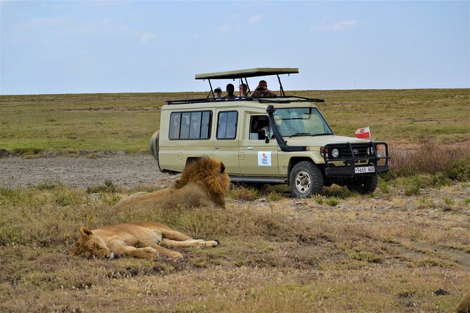 7-Day North Tanzania Classic Safari - Entering Tanzania: airport transfer, Arusha lodge time, and an easy start