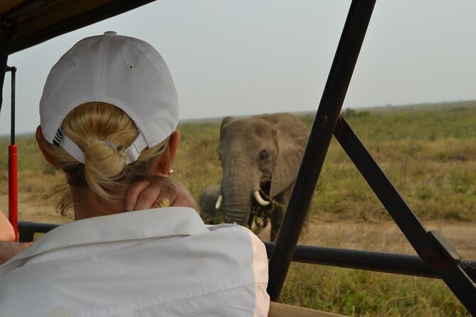 7-Day North Tanzania Classic Safari - Price and value at $2,980 per person: what you’re really buying