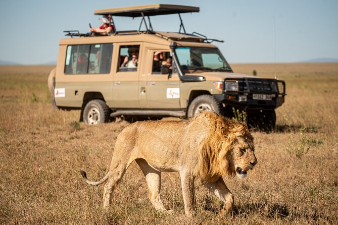 7-Day Premium Luxury Tanzania Safari All-Inclusive - Key things that make this safari feel premium
