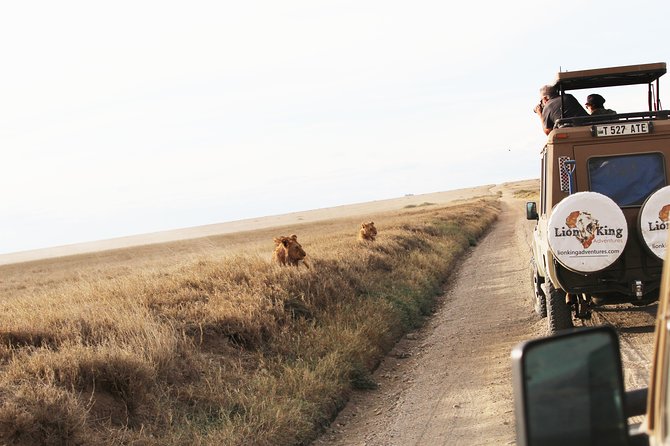 7-Day Premium Luxury Tanzania Safari All-Inclusive - Luxury without the puzzle: how the private plan plays out