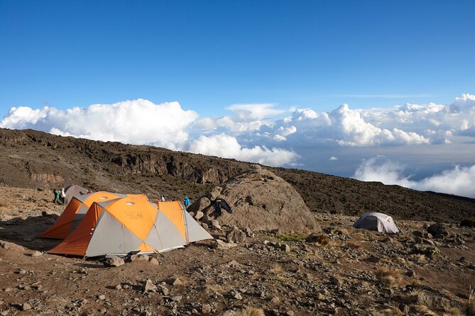 7-Day Private Kilimanjaro Hiking Tour via Machame from Arusha - Day 2: Shira Plateau Work, View Breaks, and Vegetation Changes