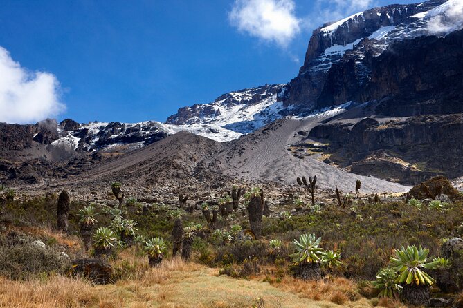 7-Day Private Kilimanjaro Hiking Tour via Machame from Arusha - Your Crew, Camp Rhythm, and What Hassle-Free Really Means