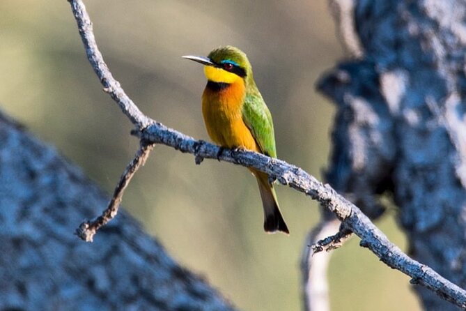7-Day Private midrange Tour in Arusha with Airport Pickup - Value and budget reality: is $3,900 per person a smart buy
