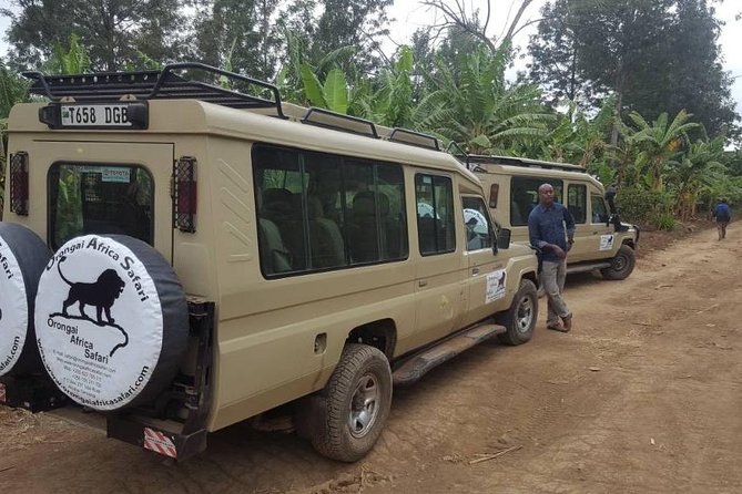 7-Day Safari (Including Serengeti) & Zanzibar Extension - Day 3: early drive, sunrise vibes, then Ngorongoro crater