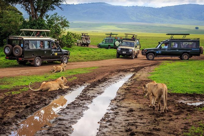 7-Day Safari (Including Serengeti) & Zanzibar Extension - Zanzibar days 5 to 6: white sand, turquoise water, and optional cultural add-ons