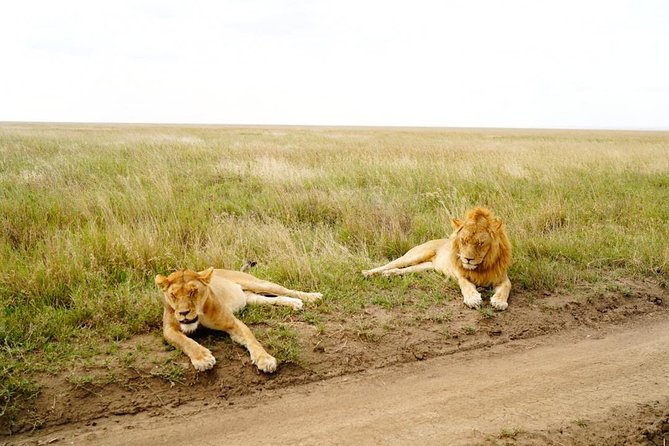 7 Day Tanzania visiting Arusha, Lake Manyara, Serengeti, Ngorongoro & Tarangire - Arusha National Park with an armed ranger walk