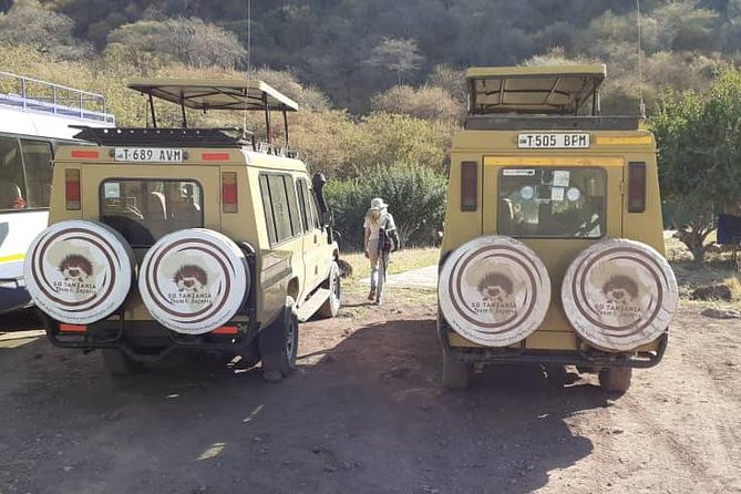 7 Day Tanzania visiting Arusha, Lake Manyara, Serengeti, Ngorongoro & Tarangire - Lake Manyara half-day return: tree-climbing lions and flamingo timing