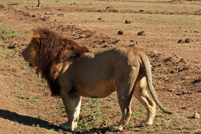 7 Day Tanzania visiting Arusha, Lake Manyara, Serengeti, Ngorongoro & Tarangire - Getting value from the private 4x4 and your accommodation choice