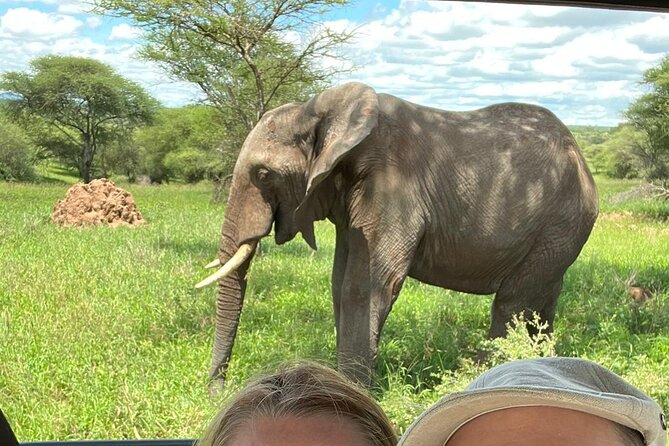 7 Day The Great Savannah Luxury Safari All Inclusive - Entering Tarangire National Park for elephants and the Silale Swamp