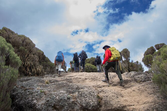 7 Day Trek To The Roof Of Africa Kilimanjaro via Machame Route - Day 5: Barranco Wall to Karanga Camp, built for strong views