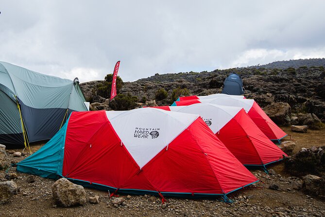 7 Day Trek To The Roof Of Africa Kilimanjaro via Machame Route - Day 7: Uhuru Peak at sunrise, then down to Mweka Camp