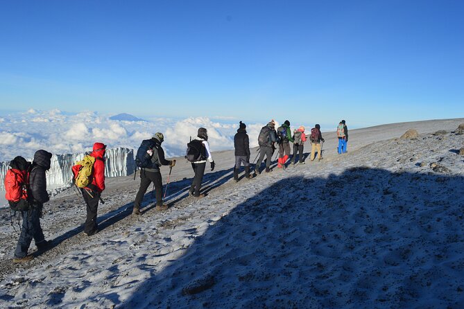 7 days, 6 Nights - Private Marangu Route - Day 3: Mandara Hut to Horombo Hut, the vegetation changes you can see