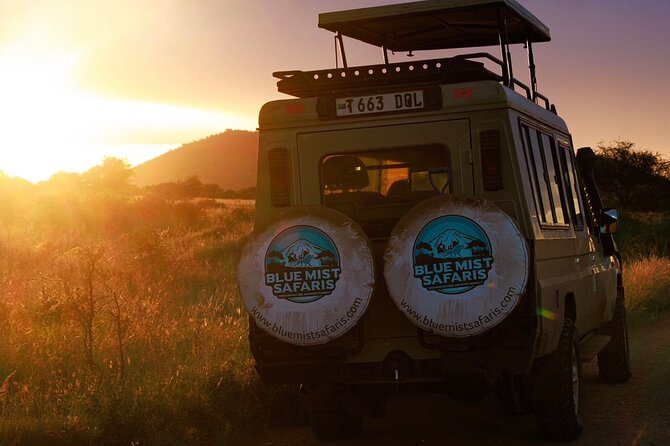 7 Days All inclusive Premium Safari Adventure in Tanzania - Key highlights that make this safari work