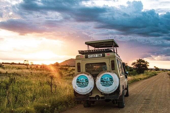 7 Days All inclusive Premium Safari Adventure in Tanzania - Day 7 in Arusha: airport transfer and one last chance for souvenirs