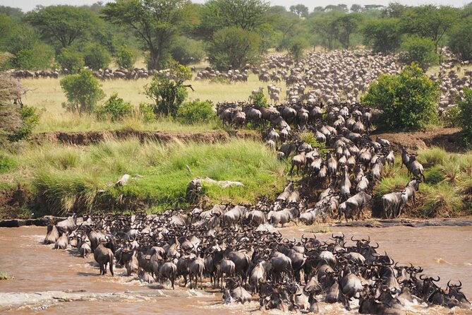 7 Days Best Luxury Safari To Tanzania - Price and value: what you get for $5,900 per person