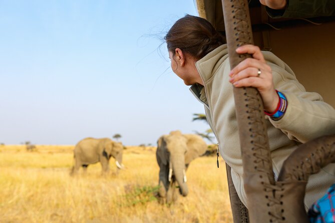 7 Days Cultural and Wildlife Safari - Day 6: Ngorongoro Crater Descent With Lake Magadi and Black Rhino Odds