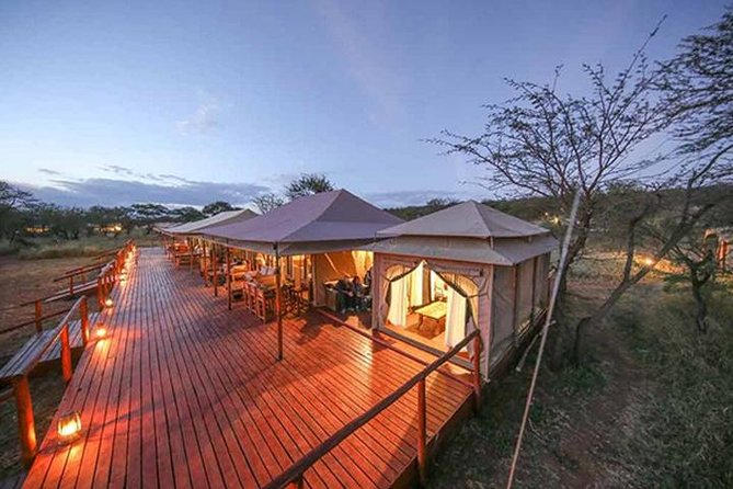 7 Days: Great Migration Mara River Crossing(manyara, Ngorongoro And Serengeti) - Key things to know before you go