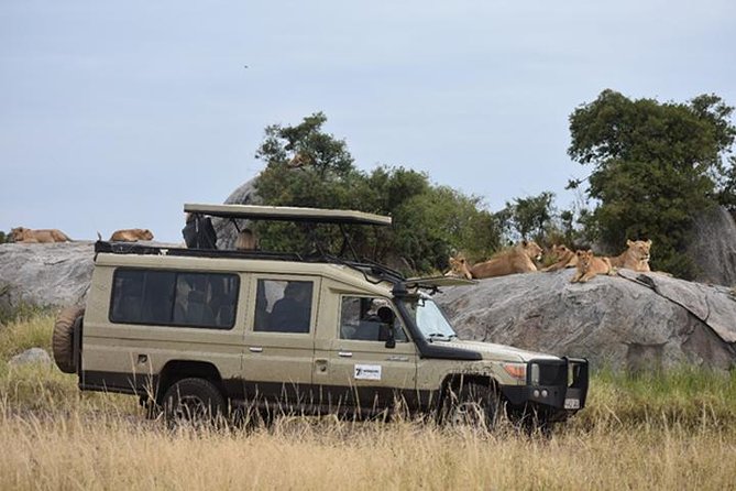 7 Days: Great Migration Mara River Crossing(manyara, Ngorongoro And Serengeti) - Final Serengeti Morning: One More Look at the Mara, Then Back to Town