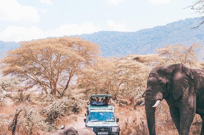 7 days great migration safari - Lake Eyasi and the Hadzabe and Datoga communities: safari beyond wildlife