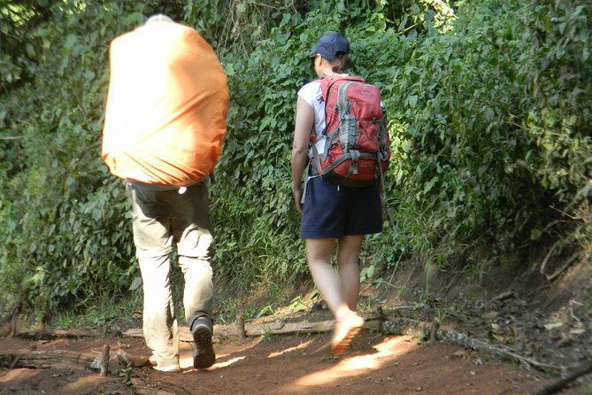 7 Days Kilimanjaro Climbing | Hiking Tour via the Lemosho Route - Day 1 from Londorosi to Lemosho Door: forest walking and your first camp
